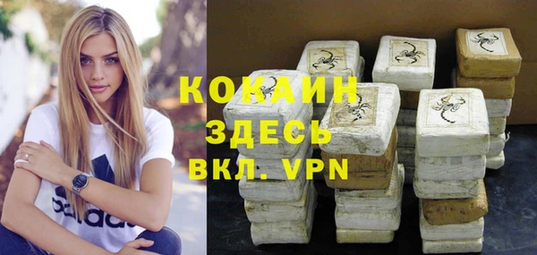 прущие грибы Осташков