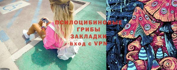 ПСИЛОЦИБИНОВЫЕ ГРИБЫ Касимов