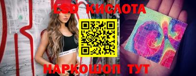 прущие крисы Гуково