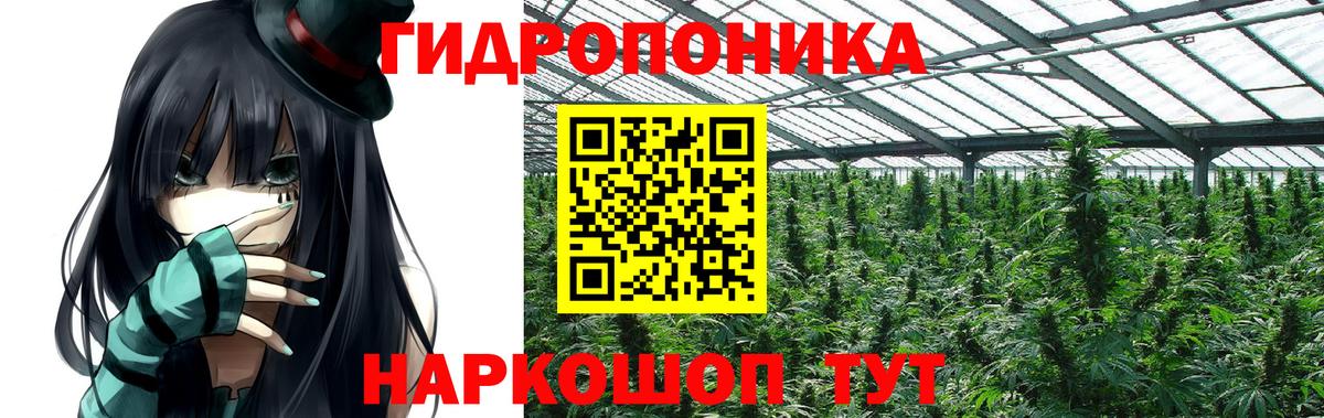 Бошки Шишки индика  Бошки марихуана план  Лиски  Вход с VPN 